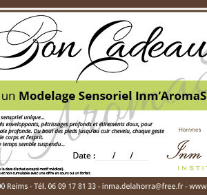 Modelage Sensoriel Inm’AromaSens